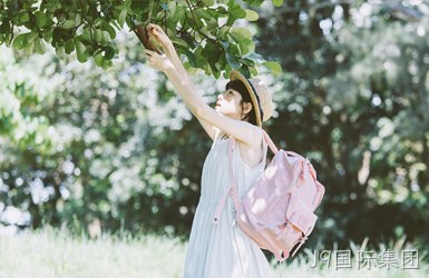 都乐甜甜圈网站案例