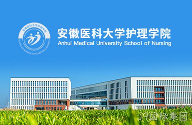 安徽医科大学护理学院网站设计案例