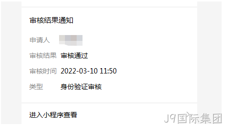 审核结果