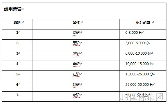 J9国际集团级别系统